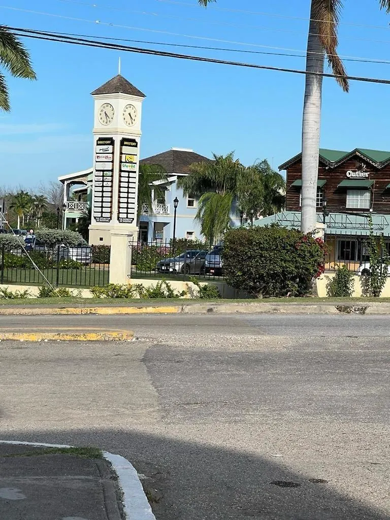 Patterson Palm Apartment #7 Montego Bay